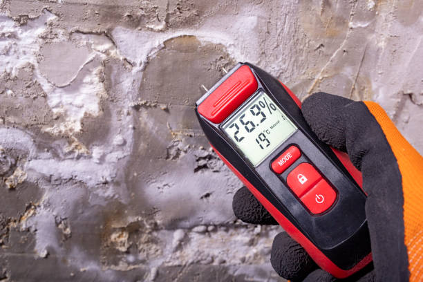 Best Basement Mold Remediation in Closter, NJ