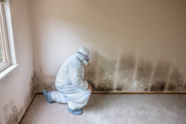Best HVAC Mold Remediation in Closter, NJ